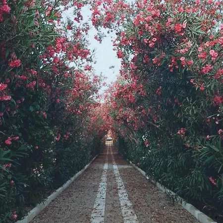 La Casa Di Nonna Nennella